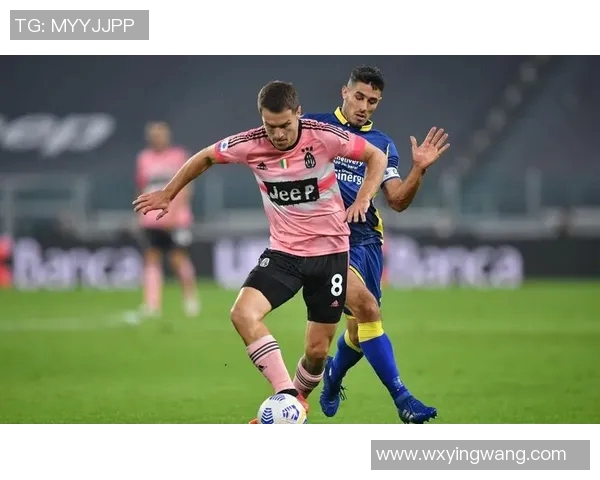 古比斯与洛瓦涅米的激烈对决分析及比赛前瞻