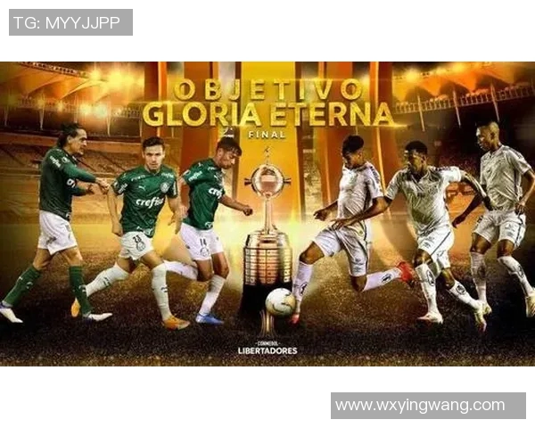 桑托斯对阵博卡青年精彩直播全程回顾与赛后分析