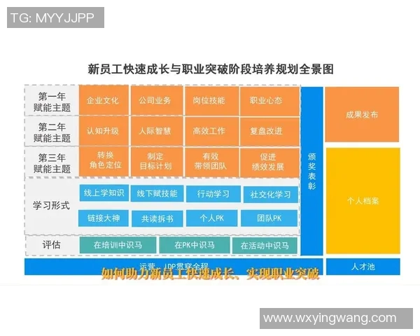 足球明星李振荣的成长历程与职业生涯全景解析